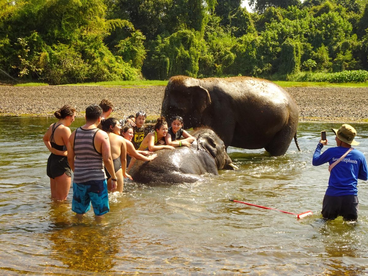 Students pose for a photo while bathing the elephants at Elephants World elephant sanctuary on Jan. 10, 2024.